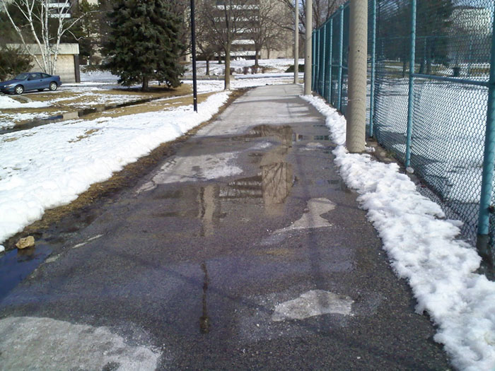 Winter Thaw in Toronto